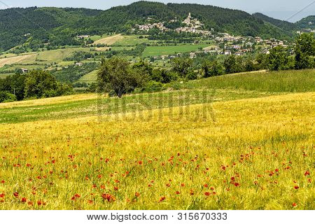 Passo Del Penice, Pavia, Lombardy, Italy: Mountaain Landscape At Late Spring (june)