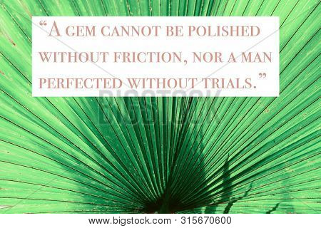 Wise quote by ancient Roman stoic philosopher Seneca against nature background