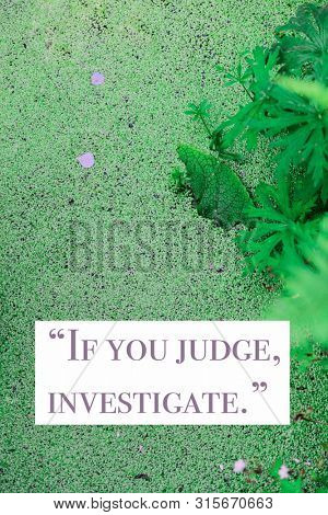 Wise quote by ancient Roman stoic philosopher Seneca against nature background