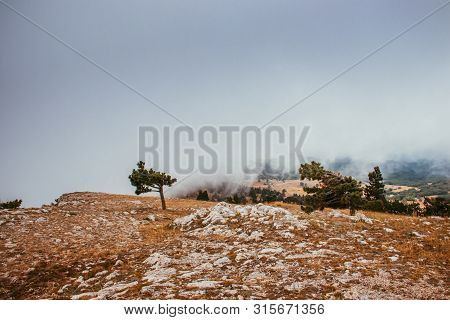 Ai-petri Mountain In The Fog. High Mountain. Crimea. Russian Mountains. Low Clouds. Beautiful Mounta