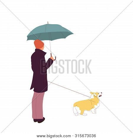 Young Man Is Walking With A Corgi Dog On A Leash. Isolated On White Background. Flat Style Cartoon S