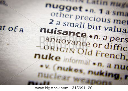 Word Or Phrase Nuisance In A Dictionary