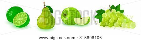 Set With Green Ripe Fruits In Line: Apple, Bunch Of Grapes, Pear, Lime. Sweet And Sour Ingredient Fo