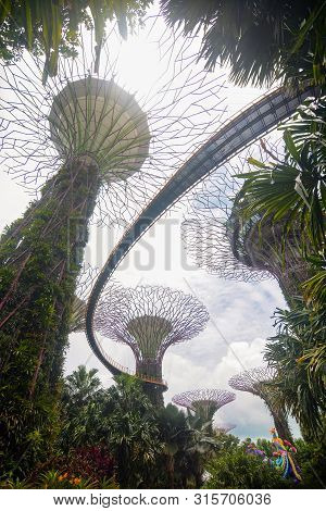 Singapore - September 8, 2018 - Vertical View Of The Ocbc Skyway In The Supertree Grove At Gardens B