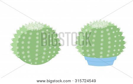 Two Isolated Cactus On White Background. Cute Succulent In A Pot And On Pebbles. Vector Illustration