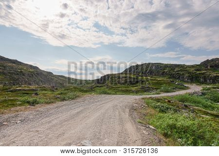 Sredniy Peninsula, Murmansk Region, Algae Thrown Surf, Shore Of The Arctic Ocean, Sredniy Peninsula