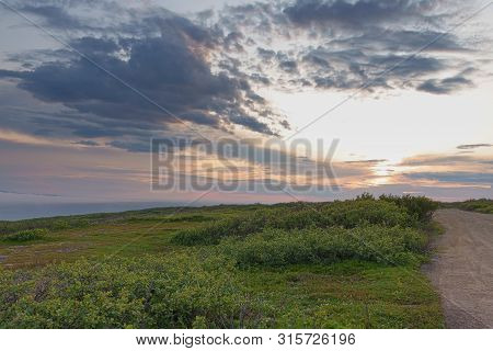 Sredniy Peninsula, Murmansk Region, Algae Thrown Surf, Shore Of The Arctic Ocean, Sredniy Peninsula
