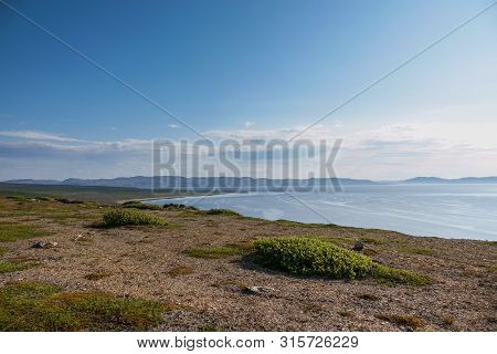 Sredniy Peninsula, Murmansk Region, Algae Thrown Surf, Shore Of The Arctic Ocean, Sredniy Peninsula