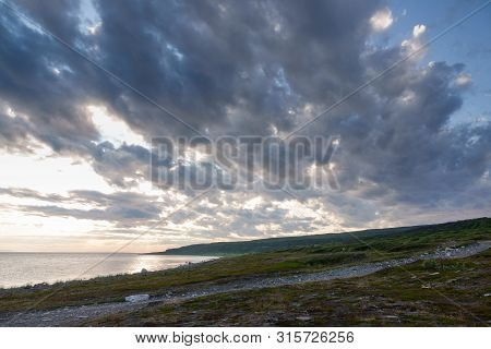 Sredniy Peninsula, Murmansk Region, Algae Thrown Surf, Shore Of The Arctic Ocean, Sredniy Peninsula
