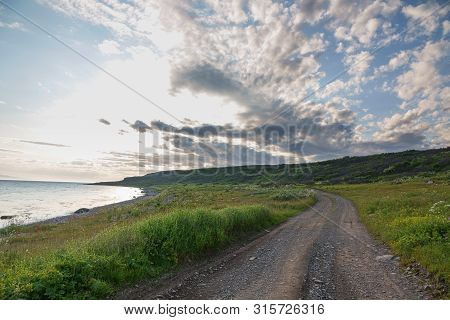 Sredniy Peninsula, Murmansk Region, Algae Thrown Surf, Shore Of The Arctic Ocean, Sredniy Peninsula