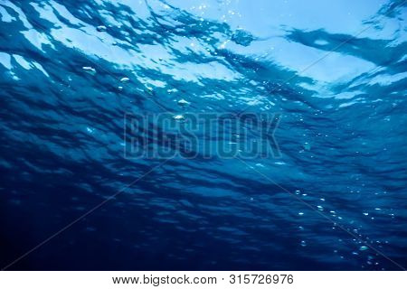 Underwater View Of The Sea Surface. Under The Sea