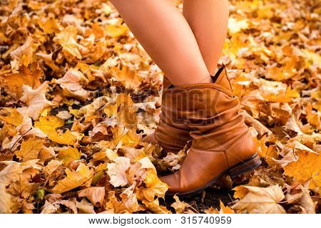 Female Legs In Brown Boots. Yellow Foliage Underfoot. Autumn Concept