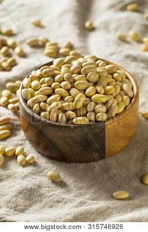 Dry Organic Yellow Mayocoba Beans