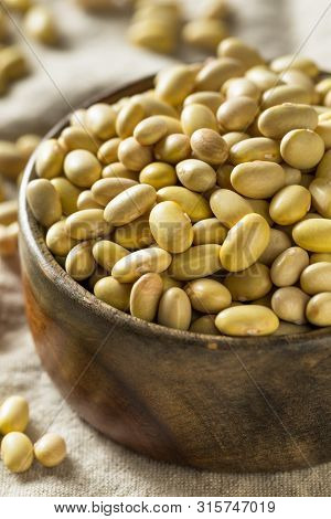 Dry Organic Yellow Mayocoba Beans