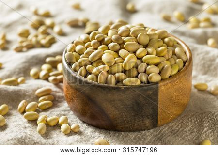 Dry Organic Yellow Mayocoba Beans