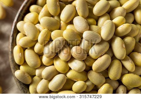 Dry Organic Yellow Mayocoba Beans