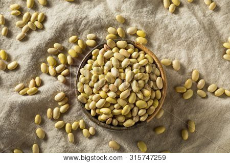 Dry Organic Yellow Mayocoba Beans