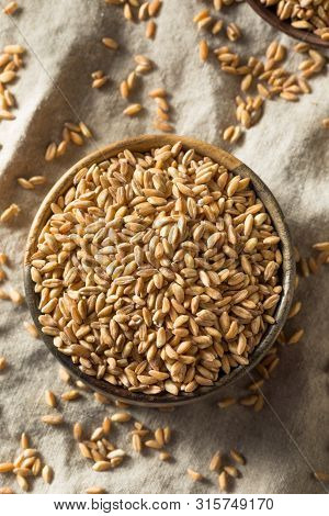 Raw Organic Farro Grain