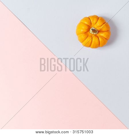 Pumpkin on Dual Color Pastel Background. Autumn Concep Layout. Top View. Copy Space