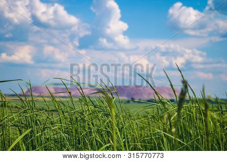 Green Grass In The Foreground, Out Of Focus Terricone - An Artificial Mound From Waste Rock, Extract