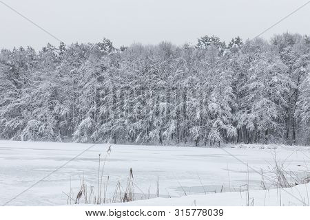 Bavarian Winter Landscape Next Next To Schwandorf, Charlottenhofer Weihergebiet