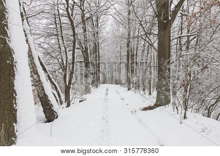 Bavarian Winter Landscape Next Next To Schwandorf, Charlottenhofer Weihergebiet