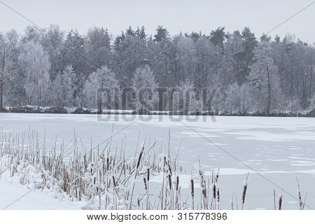 Bavarian Winter Landscape Next Next To Schwandorf, Charlottenhofer Weihergebiet