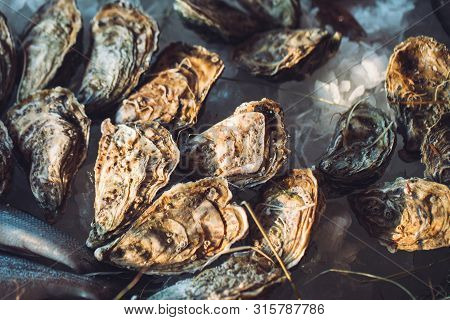 Oysters And Other Seafood On Ice On The Shop Counter.