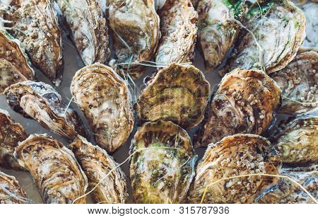 Oysters And Other Seafood On Ice On The Shop Counter.