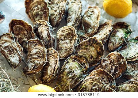 Oysters And Other Seafood On Ice On The Shop Counter.