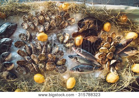 Oysters And Other Seafood On Ice On The Shop Counter.