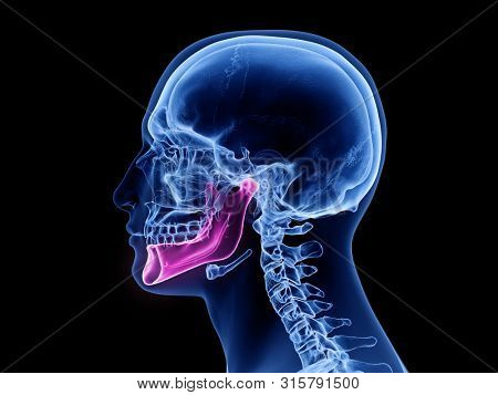 3d rendered medically accurate illustration of the jaw bone