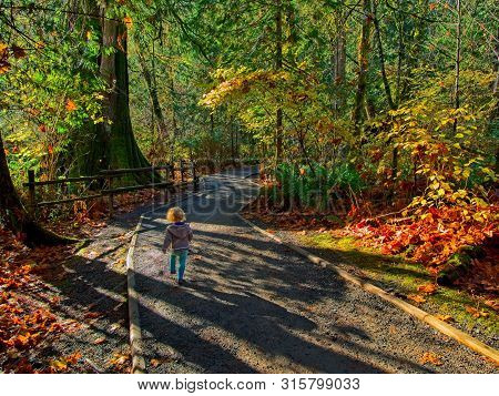 Goldstream Park