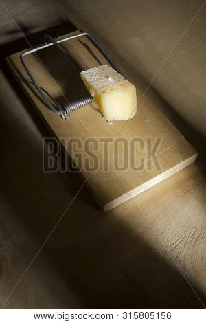 A Piece Of Cheese In A Mousetrap On A Black Background