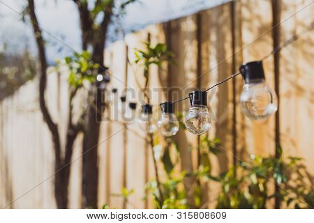 Trendy Globe String Lights Outdoor Hanging From Trees In Private Garden