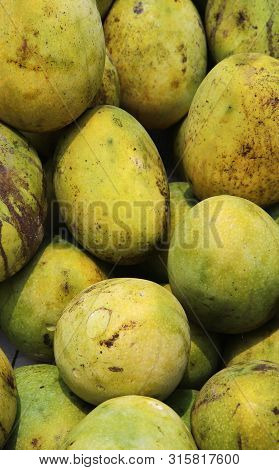 Lots Of Green Mango And Yellow Mango