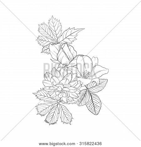 Vector Drawing Flowers, Decorative Rosette, Stylized Designtemplate, Isolated Floral Element, Hand D
