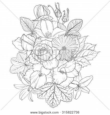 Vector Drawing Flowers, Decorative Rosette, Stylized Designtemplate, Isolated Floral Element, Hand D