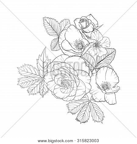 Vector Drawing Flowers, Decorative Rosette, Stylized Designtemplate, Isolated Floral Element, Hand D