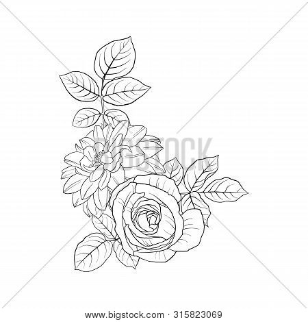 Vector Drawing Flowers, Decorative Rosette, Stylized Designtemplate, Isolated Floral Element, Hand D