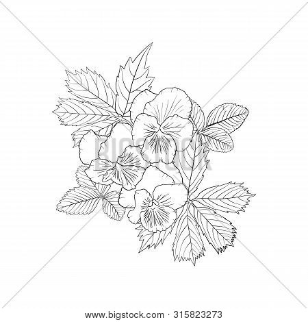 Vector Drawing Flowers, Decorative Rosette, Stylized Designtemplate, Isolated Floral Element, Hand D