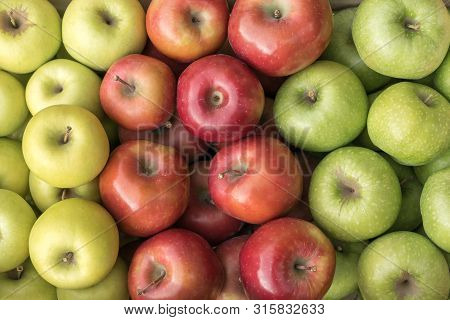Fresh Green, red and yellow apples, Serbia