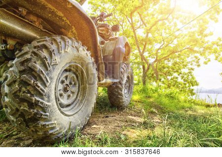 Back View Of Quad Bike Deep In The Forest Road.