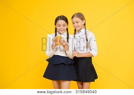 School Application Smartphone. Internet Is Wonderful Resource But Access To It Has Hazards For Kids.