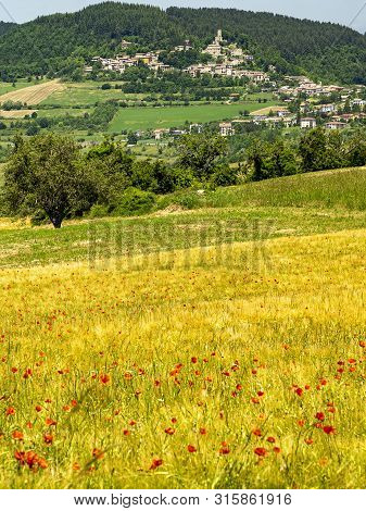 Passo Del Penice, Pavia, Lombardy, Italy: Mountaain Landscape At Late Spring (june)