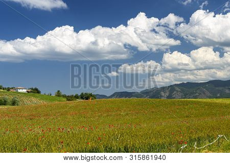 Passo Del Penice, Pavia, Lombardy, Italy: Mountaain Landscape At Late Spring (june)