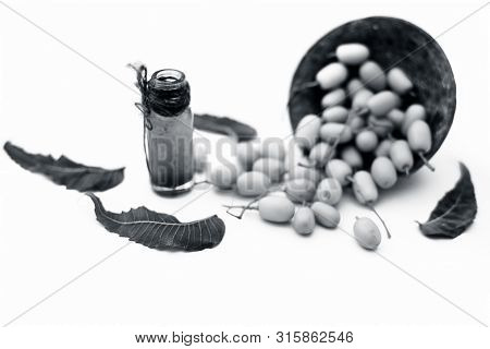 Fresh Green Neem Fruit Of Indian Lilac Fruit In A Clay Bowl Isolated On White Along With Its Concent