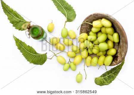 Fresh Green Neem Fruit Of Indian Lilac Fruit In A Clay Bowl Isolated On White Along With Its Concent