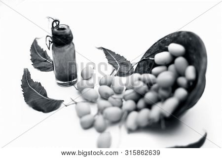 Fresh Green Neem Fruit Of Indian Lilac Fruit In A Clay Bowl Isolated On White Along With Its Concent