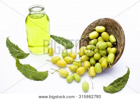 Fresh Green Neem Fruit Of Indian Lilac Fruit In A Clay Bowl Isolated On White Along With Its Oil In